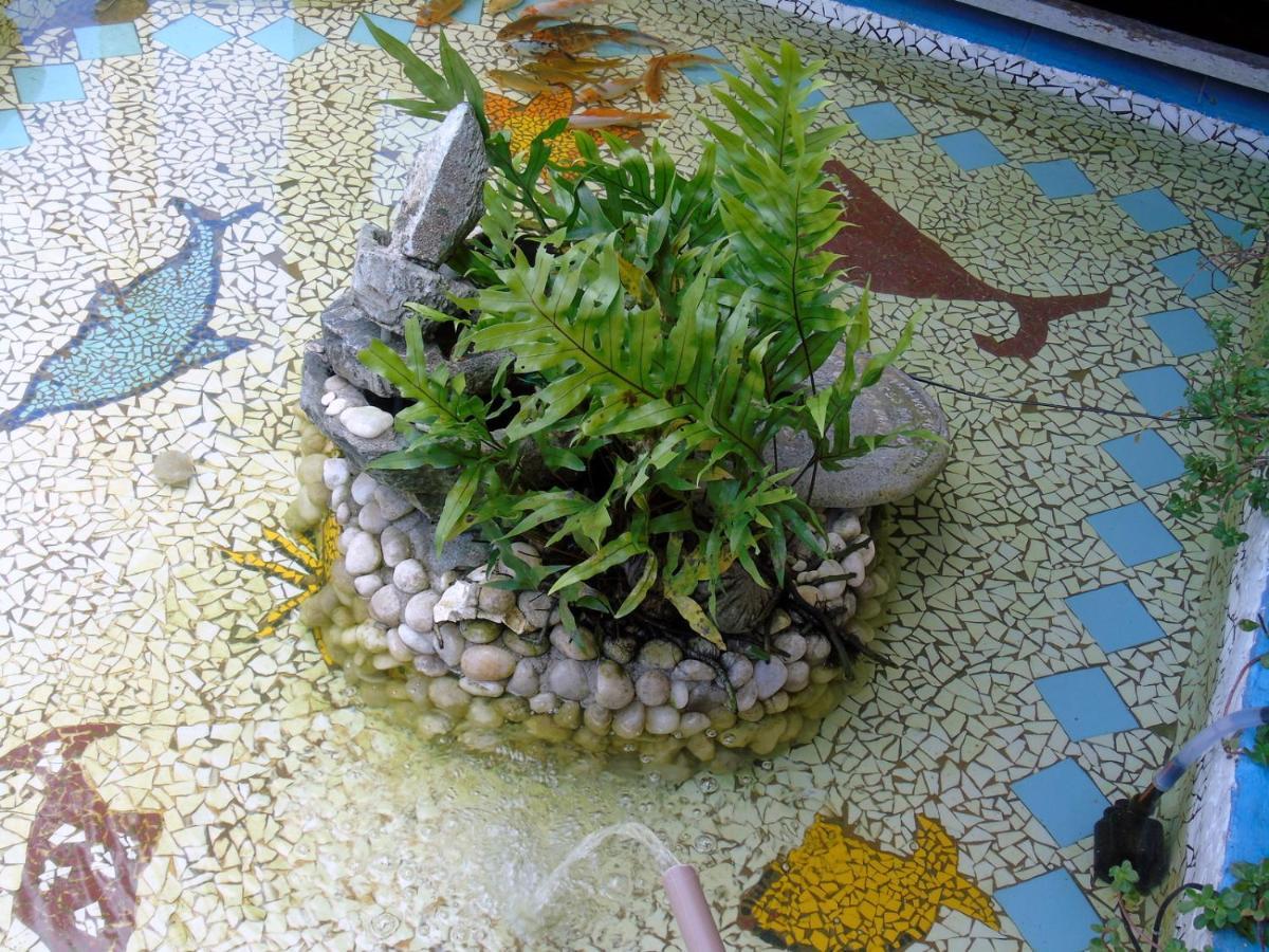 Pousada A Flor Da Terra Порту-Сегуру Экстерьер фото
